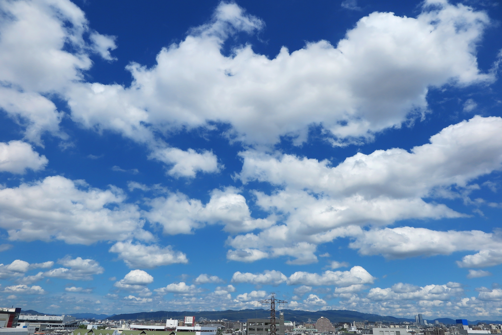地域社会への貢献