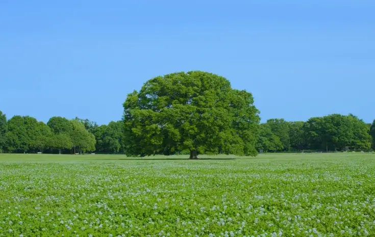 環境に配慮したモノづくり